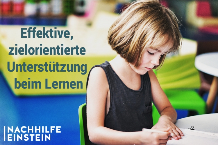 Nachhilfe Einstein  Über uns - Firmenbild #3