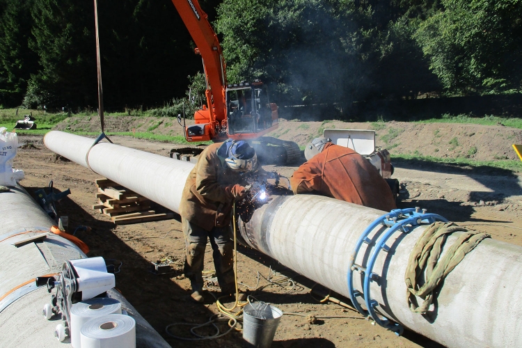 Hubert Niederländer GmbH GmbH Über uns - Firmenbild #3