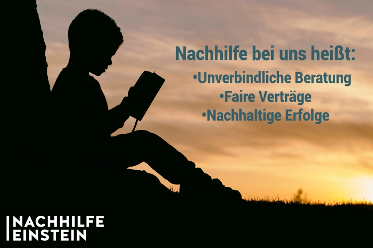 Nachhilfe Einstein  Über uns - Firmenbild #1