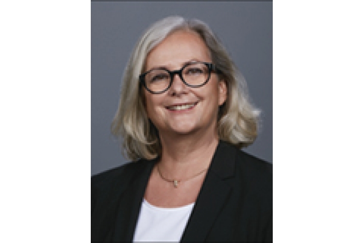 Steinhagen Consulting  Über uns - Firmenbild #1