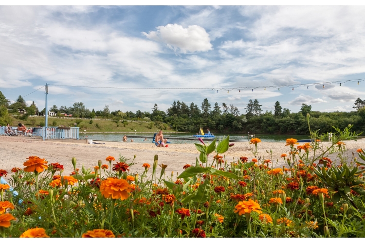 Wohnungs- und Baugesellschaft mbH Staßfurt Über uns - Firmenbild #2