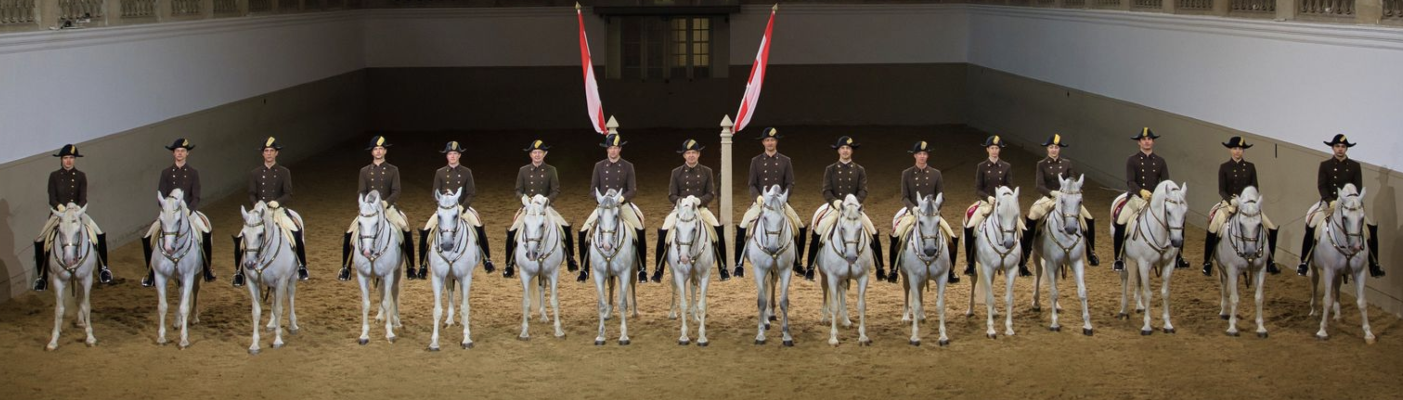 Spanische Hofreitschule Karriere