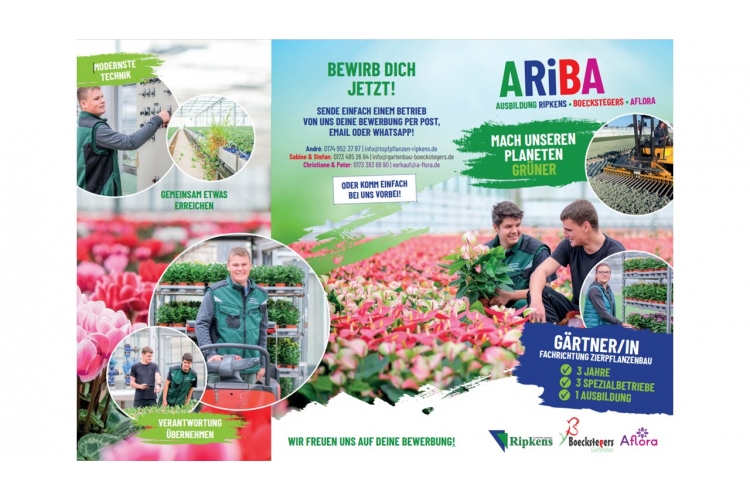ARIBA, Ausbildung  Ripkens, Boeckstegers, Aflora  Über uns - Firmenbild #1