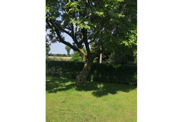 NURSES for you Köhn Personalservice  GmbH Über uns - Firmenbild #12