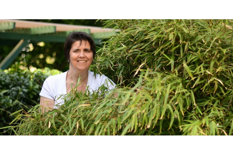 Spanische Hofreitschule - Lippizanergestüt Piber  Über uns - Firmenbild #4