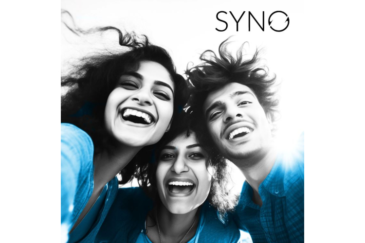 SYNO Consulting Group AG Über uns - Firmenbild #2