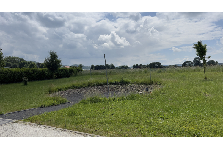 Steuerberater Wolfgang Schmidt  Über uns - Firmenbild #4