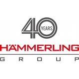 Hämmerling Group Holding_deleted_67ea42e6b6364c104b8b6642  Logo