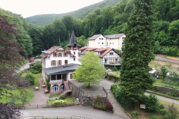 Camphill Lebensgemeinschaften Rheinland-Pfalz  Über uns - Firmenbild #2