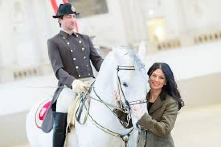 Spanische Hofreitschule - Lippizanergestüt Piber  Über uns - Firmenbild #3