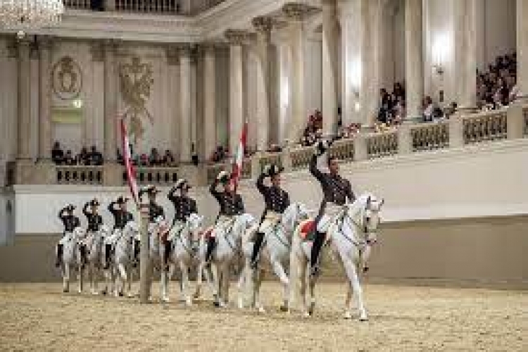 Spanische Hofreitschule - Lippizanergestüt Piber  Über uns - Firmenbild #1