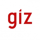 GIZ   Logo