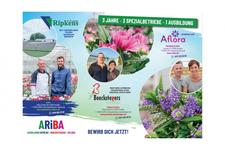 ARIBA, Ausbildung  Ripkens, Boeckstegers, Aflora  Über uns - Firmenbild #2