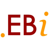 EBI-Entwicklungs- und Bildungsinitiative e. V. Logo
