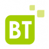 BT Consulting GmbH & Co. KG Logo