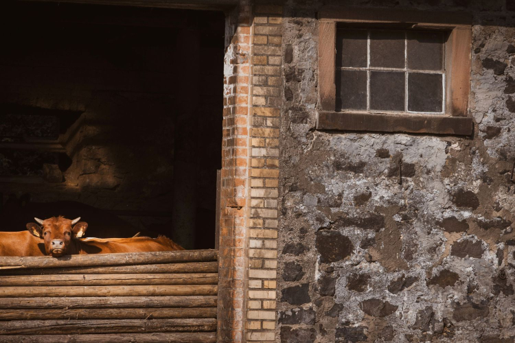 Liebich + Schröder Versicherungsmakler GmbH & Co KG Über uns - Firmenbild #2