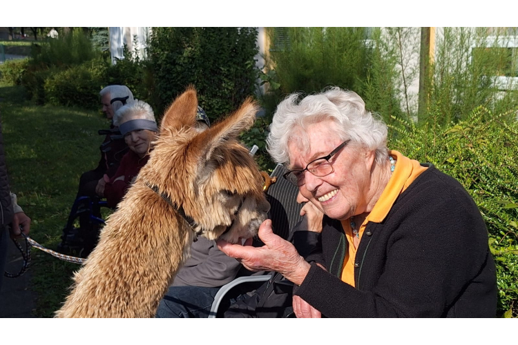 FOQUS GmbH Über uns - Firmenbild #8