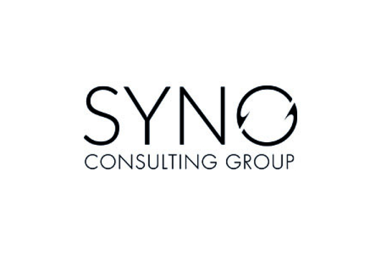 SYNO Consulting Group AG Über uns - Firmenbild #5