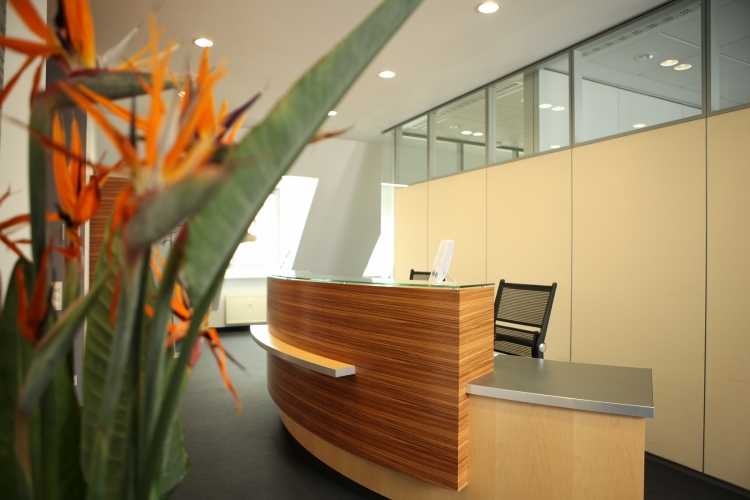 AWI TREUHAND Steuerberatungsgesellschaft GmbH & Co. KG  Über uns - Firmenbild #2